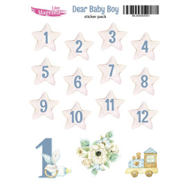 Stickers set, Dear Baby Boy 1, 13х18 cm, Magenta Line